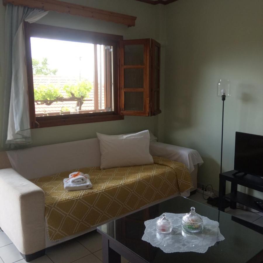 Small Town Apartment Konitsa Exterior photo